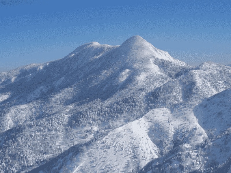 试管双胎缺氧试管浮聚法第三带试管